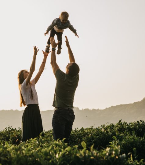 Diseno sin titulo 74